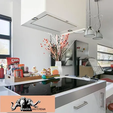 Paradise Amsterdam Of 80 M2 With Private Pool *