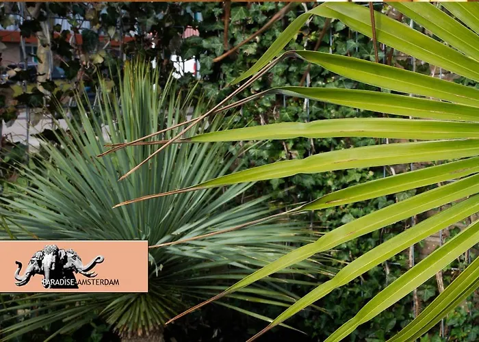 Appartement Paradise Amsterdam Of 80 M2 With Private Pool - Inclusive, Parking, Use Of Bikes, Tourist Tax And Much *