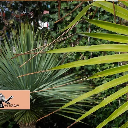 アパート Paradise Amsterdam Of 80 M2 With Private Pool - Inclusive, Parking, Use Of Bikes, Tourist Tax And Much *