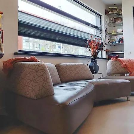 Paradise Amsterdam Of 80 M2 With Private Pool * Zandvoort