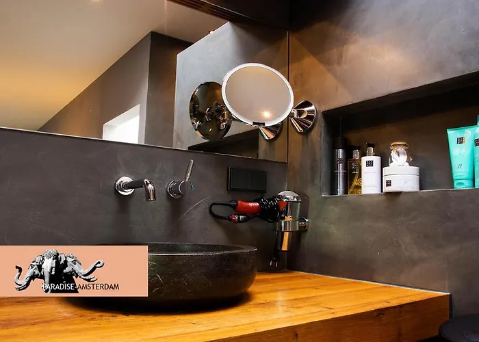 Paradise Amsterdam Of 80 M2 With Private Pool - Inclusive, Parking, Use Of Bikes, Tourist Tax And Much