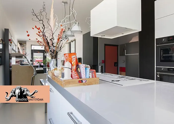 Paradise Amsterdam Of 80 M2 With Private Pool - Inclusive, Parking, Use Of Bikes, Tourist Tax And Much 아파트