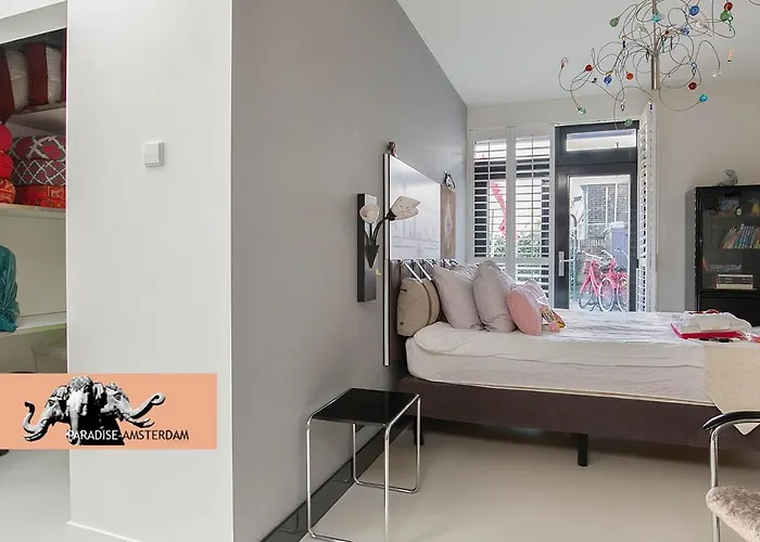 Paradise Amsterdam Of 80 M2 With Private Pool - Inclusive, Parking, Use Of Bikes, Tourist Tax And Much 아파트 잔드보르트