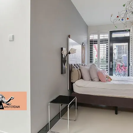 Paradise Amsterdam Of 80 M2 With Private Pool - Inclusive, Breakfast, Parking, Use Of Bikes, Tourist Tax And Much 公寓 赞德沃特
